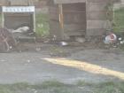 A local dog preferring an oven to his doghouse