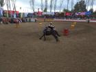 More of the Patriotic Week celebrations, the horses were extremely fast!
