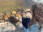I got to pet a nutria! These water rodents are really curious about people, and I was excited to get so close