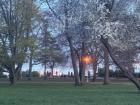 Watching the sunset from the big park overlooking the city!