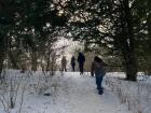 A winter stroll from February 
