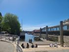 The harbor on a sunny day