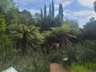 The garden has a collection dedicated to the 5 stages of plant evolution