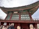 Look at the Changdeokgung Palace beautiful colors!