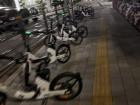 These are bikes on campus that can be rented to us all day