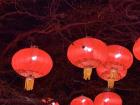 During Lunar New Year, you see these types of lanterns all over the country as decoration