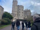 Nature & Trees surrouding Windsor Castle