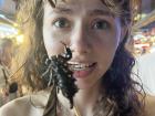 A scorpion from the night market