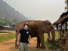 An elephant in Thailand at an ethical sanctuary (no feeding or touching)