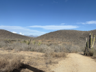 The view on a hike 15 minutes from my house