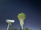 Beautiful night sky view from my street