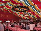 Springfest!