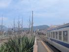 Kawara Train Station with beautiful Sakura blossoms in the background 