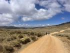 Walking out into the grasslands to help herd the vicuñas
