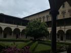 A courtyard in the San Lorenzo church in Florence. The purple flowers are Pontic rhododendrons. 