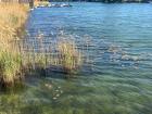 River in Vienna