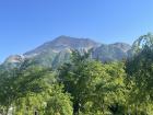 A view of Hitsujiyama Mountain in Saitama prefecture