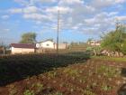 A neighbor's field after being freshly planted with corn seeds