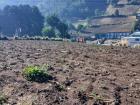 A sad, empty corn field waiting to be planted