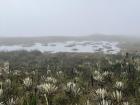 Shown here is a páramo, a unique ecosystem that exists in only three countries, including Colombia!
