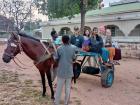 Taking a horse cart is another common mode of transportation