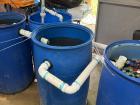 I learned about the water filtration system for the tilapia
