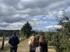 Picking apples in the orchard with my friends at Appelfest