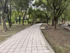 A photo of one of the walkways in Da'An park