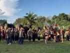 Elephants splashing us with their bathwater!