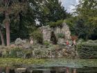 Little pond at the Cologne Botanical Garden