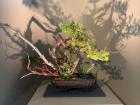 The aforementioned Ikebana, done by my professor!