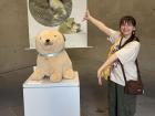 A dog plushie from the art exhibit!