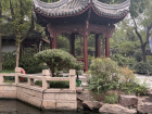 A traditional Chinese hut 