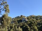 Our hike between a palace and castle this week was huge!
