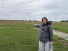 I was very excited about the sheep grazing at Stonehenge