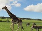 At the Kragga Kamma Game Park in the Eastern Cape
