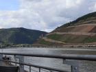 This photo you can see how steep the vineyards are but also, there is a castle tucked up in them on the edge looking over the river. 