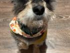 Weekly Winnie pic