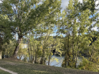 This path is near my apartment, right along the River Miño