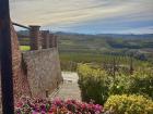 A castle that I visited one weekend in a town called Alba, which had an amazing view of the surrounding vinyards!