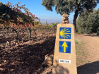 The Camino of Santiago