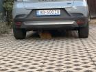As you can see, cats enjoy resting under cars
