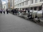 Horse carriages are commonly used for tours in Vienna