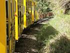 Visitors can buy a ticket on the old logging train to access more hiking trails