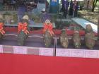 You can see the best of show taros at the festival
