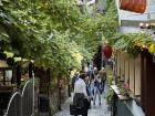 A cute street in Rüdesheim
