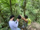 Checking camera traps for pangolins – no luck this time!