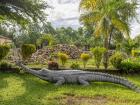 A gharial sculpture outside one of the hotels in Madi Village