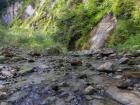 A pristine river flowing through Chitwan National Park