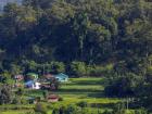 It is common for houses or whole communities to be built alongside forested areas